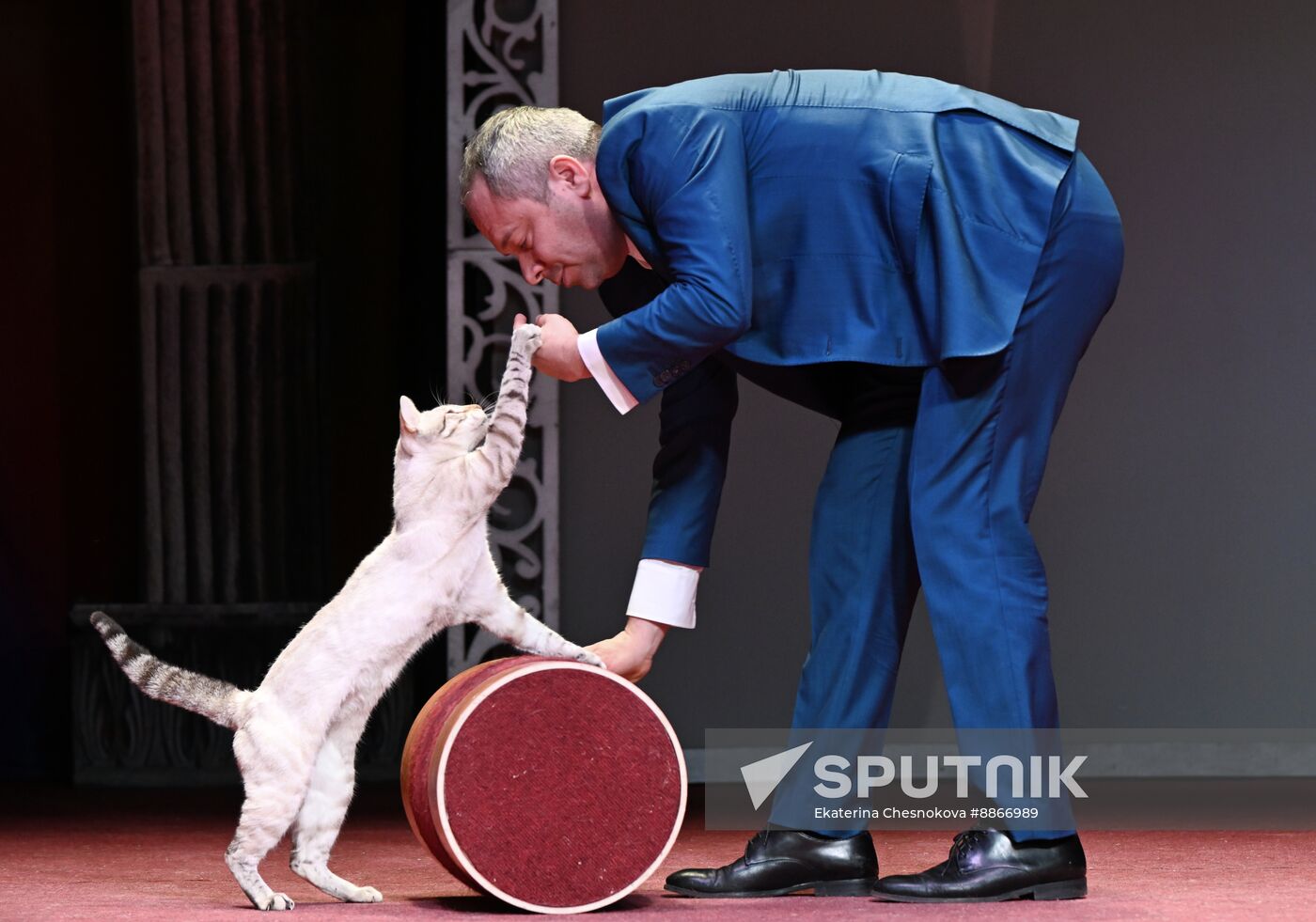 Russia Kuklachev Cats Theatre