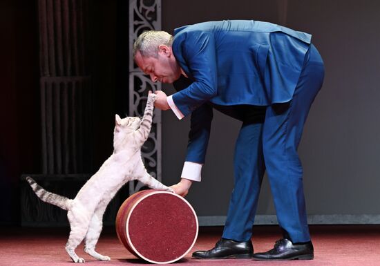 Russia Kuklachev Cats Theatre