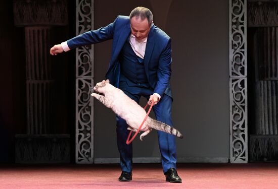 Russia Kuklachev Cats Theatre