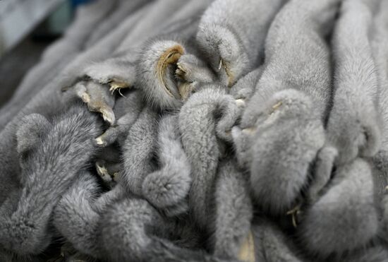 Russia Crimea Fur Factory