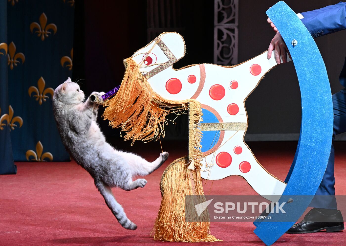 Russia Kuklachev Cats Theatre