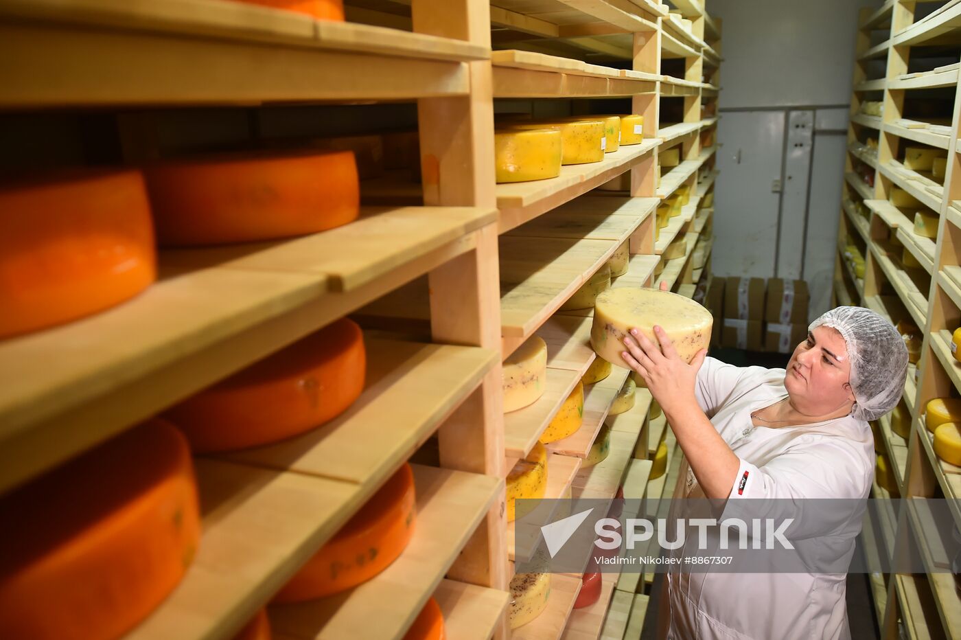 Russia Dairy Industry