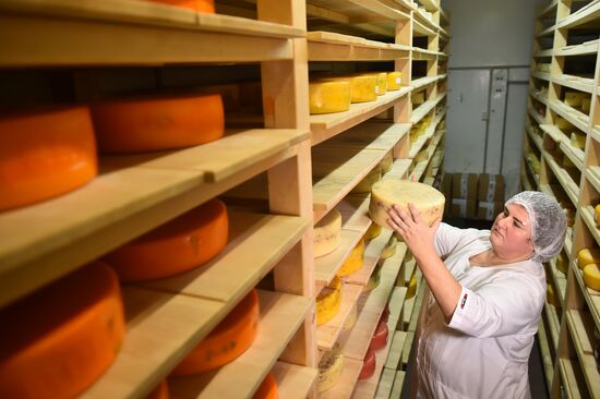 Russia Dairy Industry