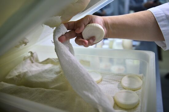 Russia Dairy Industry