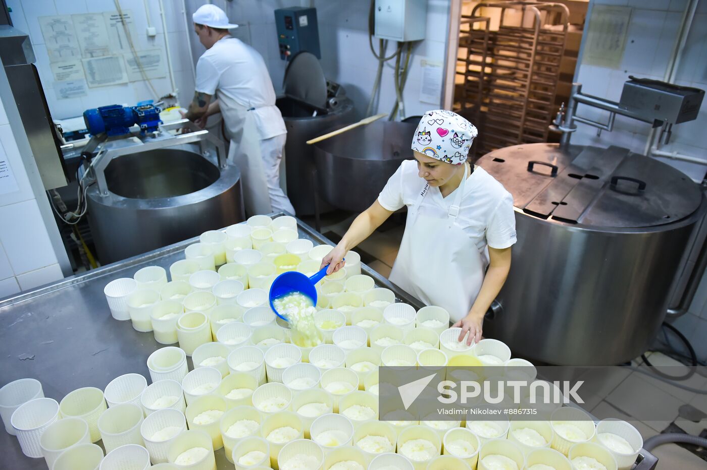 Russia Dairy Industry