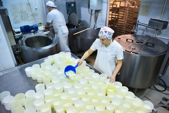 Russia Dairy Industry