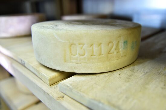 Russia Dairy Industry