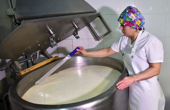 Russia Dairy Industry