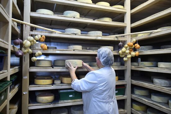 Russia Dairy Industry