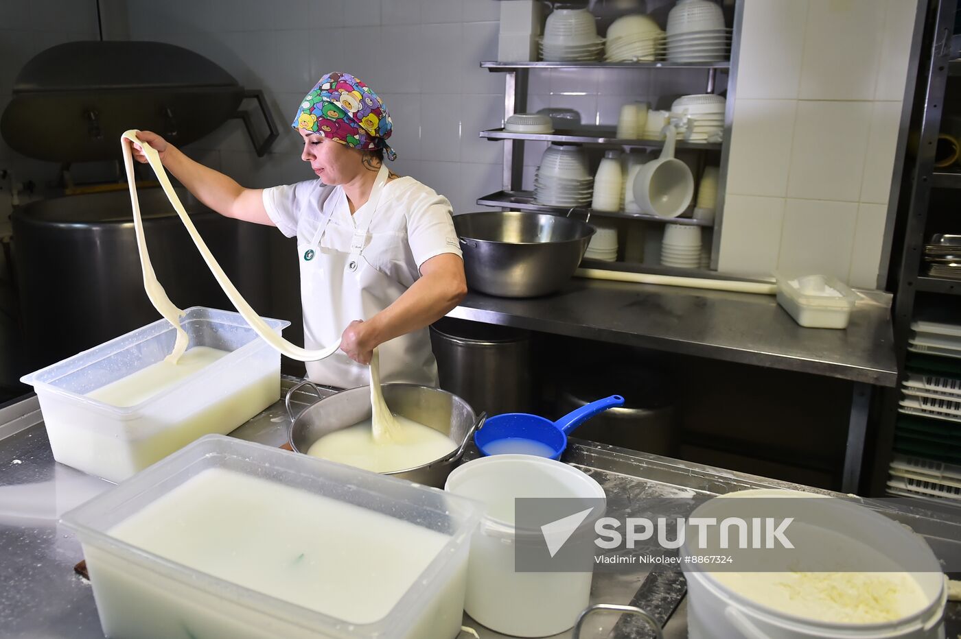 Russia Dairy Industry