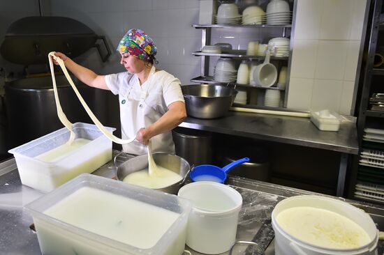 Russia Dairy Industry