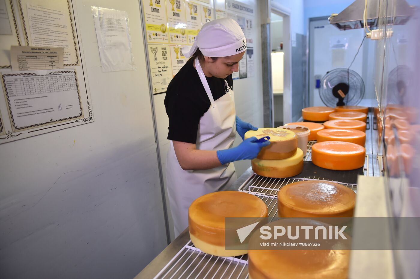 Russia Dairy Industry