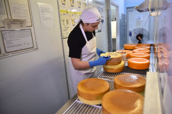 Russia Dairy Industry