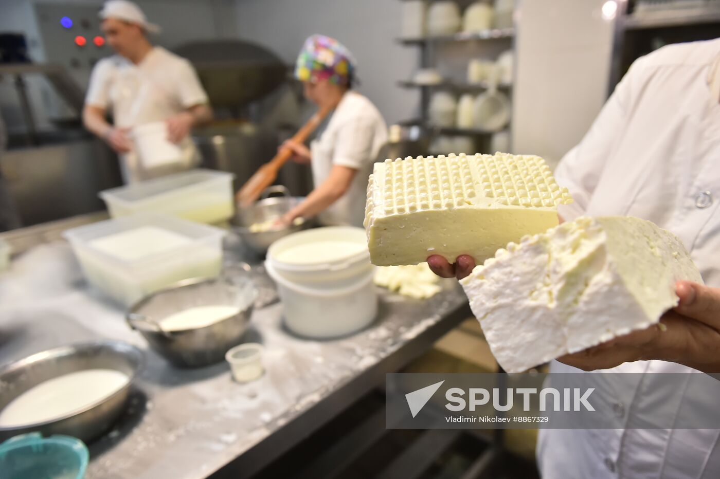 Russia Dairy Industry