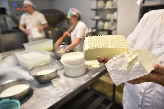 Russia Dairy Industry