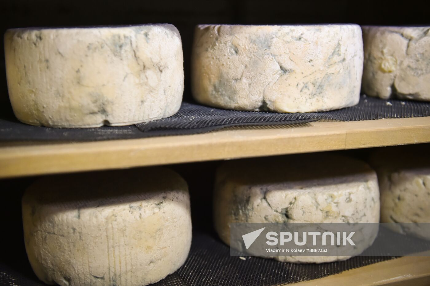 Russia Dairy Industry