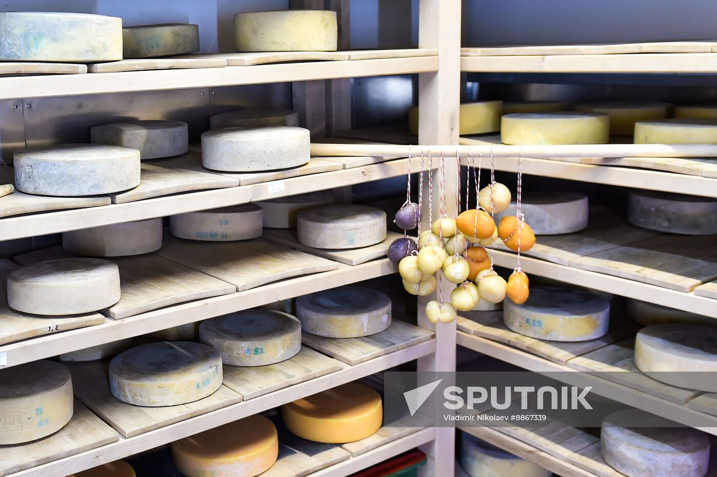 Russia Dairy Industry