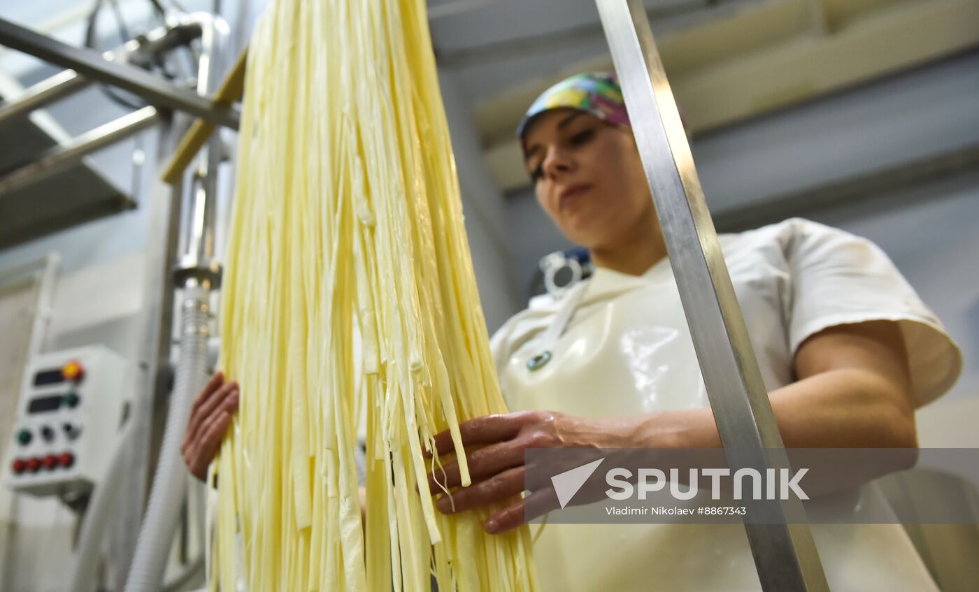Russia Dairy Industry