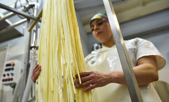 Russia Dairy Industry