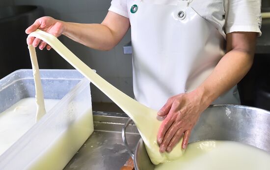 Russia Dairy Industry