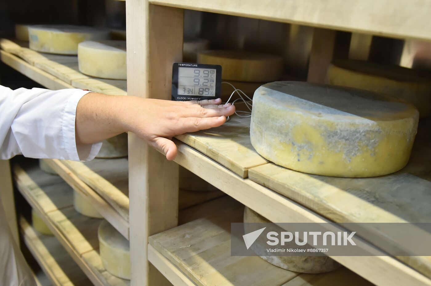 Russia Dairy Industry