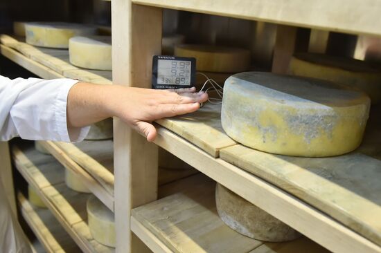 Russia Dairy Industry