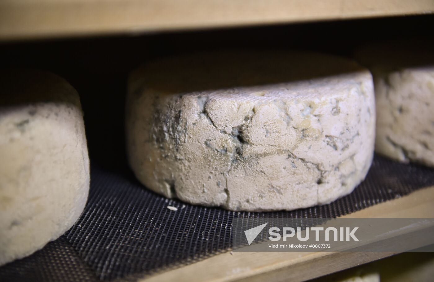 Russia Dairy Industry