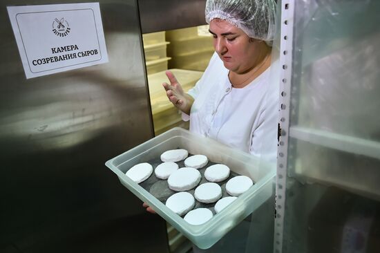 Russia Dairy Industry