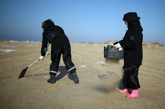 Russia Tankers Crash Aftermath