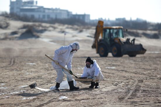 Russia Tankers Crash Aftermath