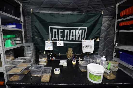 Russia Tankers Crash Aftermath