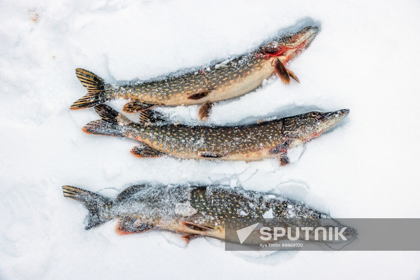 Russia Karelia Tourism