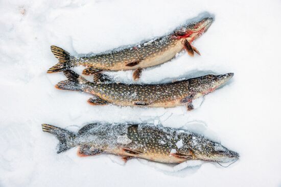 Russia Karelia Tourism