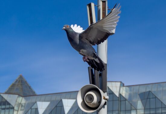 Russia Emergency Warning Systems Test