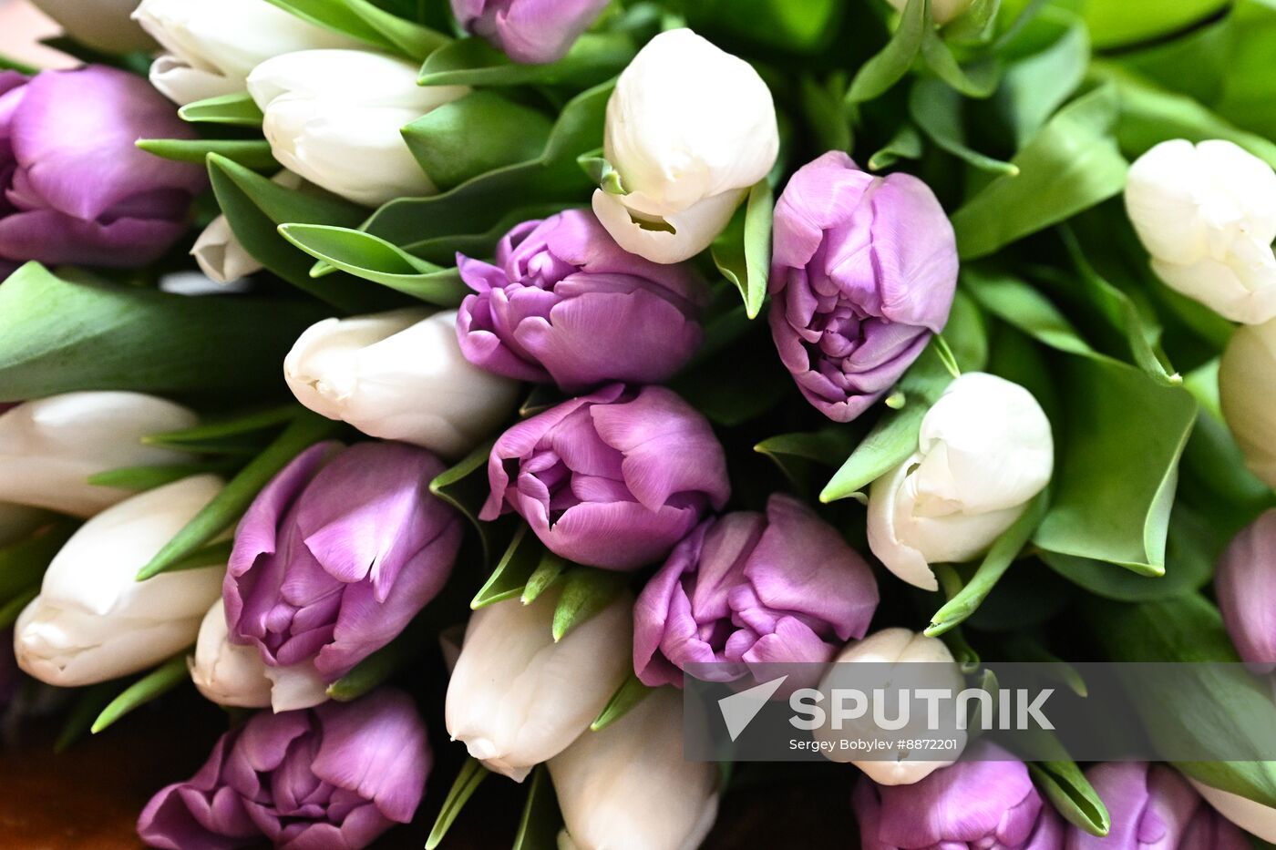 Russia Women’s Day Flowers Selling