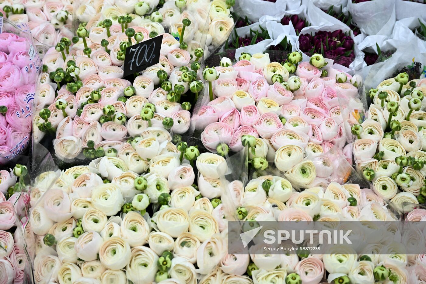 Russia Women’s Day Flowers Selling