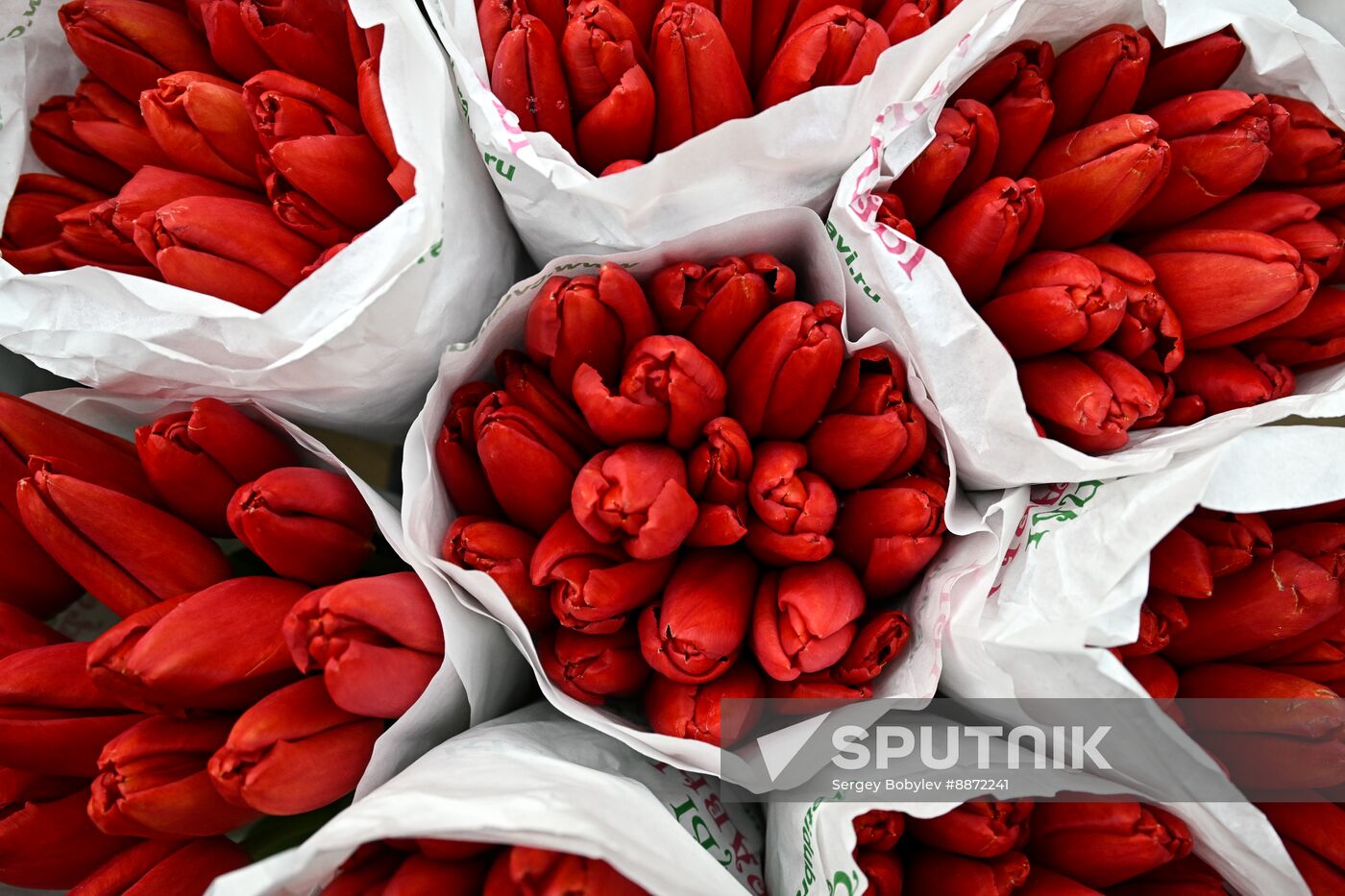 Russia Women’s Day Flowers Selling