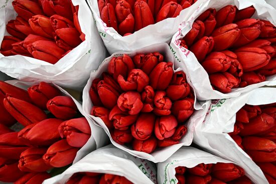 Russia Women’s Day Flowers Selling