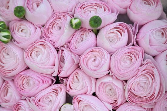 Russia Women’s Day Flowers Selling