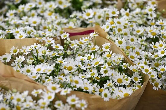 Russia Women’s Day Flowers Selling