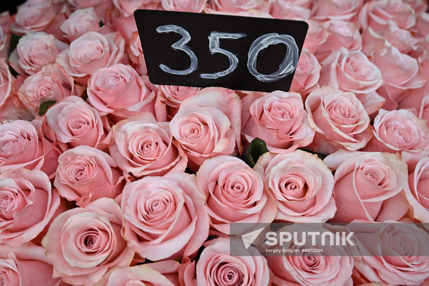 Russia Women’s Day Flowers Selling