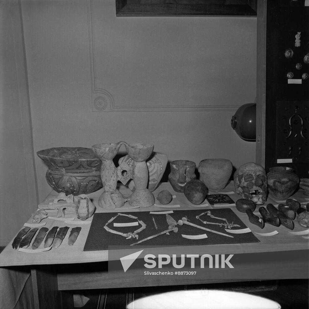 Finds from ancient Greek colony of Olbia