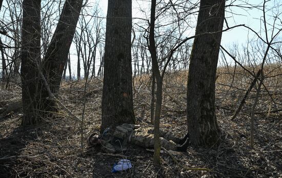 Russia Ukraine Kursk Attack Liberated Settlements