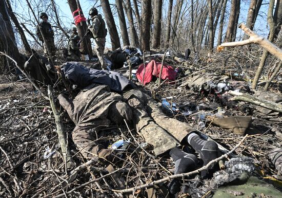 Russia Ukraine Kursk Attack Liberated Settlements