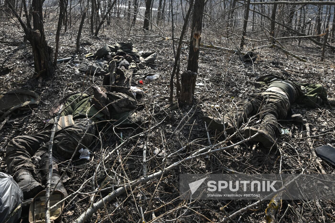 Russia Ukraine Kursk Attack Liberated Settlements