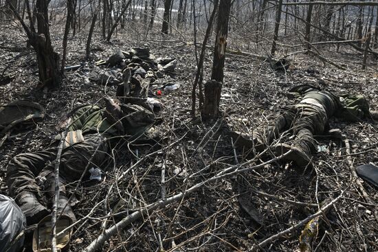 Russia Ukraine Kursk Attack Liberated Settlements