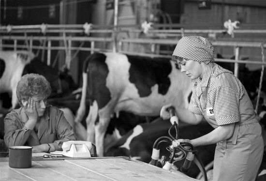 12th All-Union Competition of Milking Machine Operators