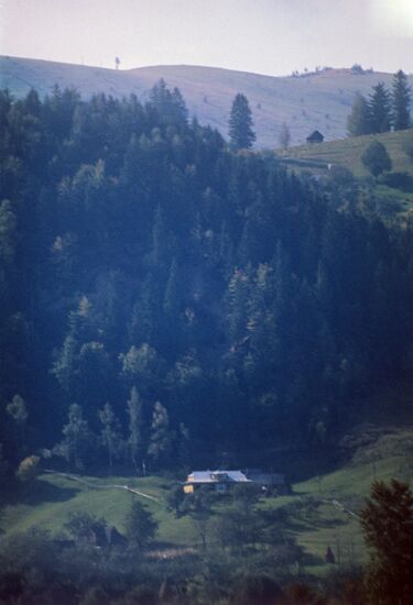 Cis-Carpathian village