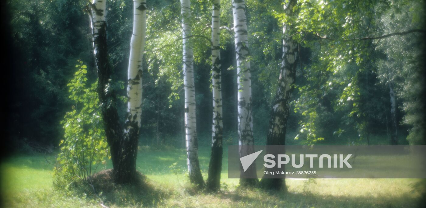 Autumn in Moscow Region