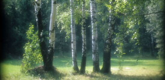 Autumn in Moscow Region